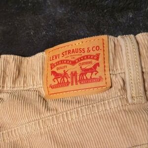 Levi Womem's Beige Corduroy Pants '94 Baggy Size 28